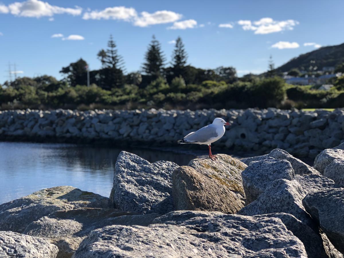 Albany Foreshore Guest House Exterior foto