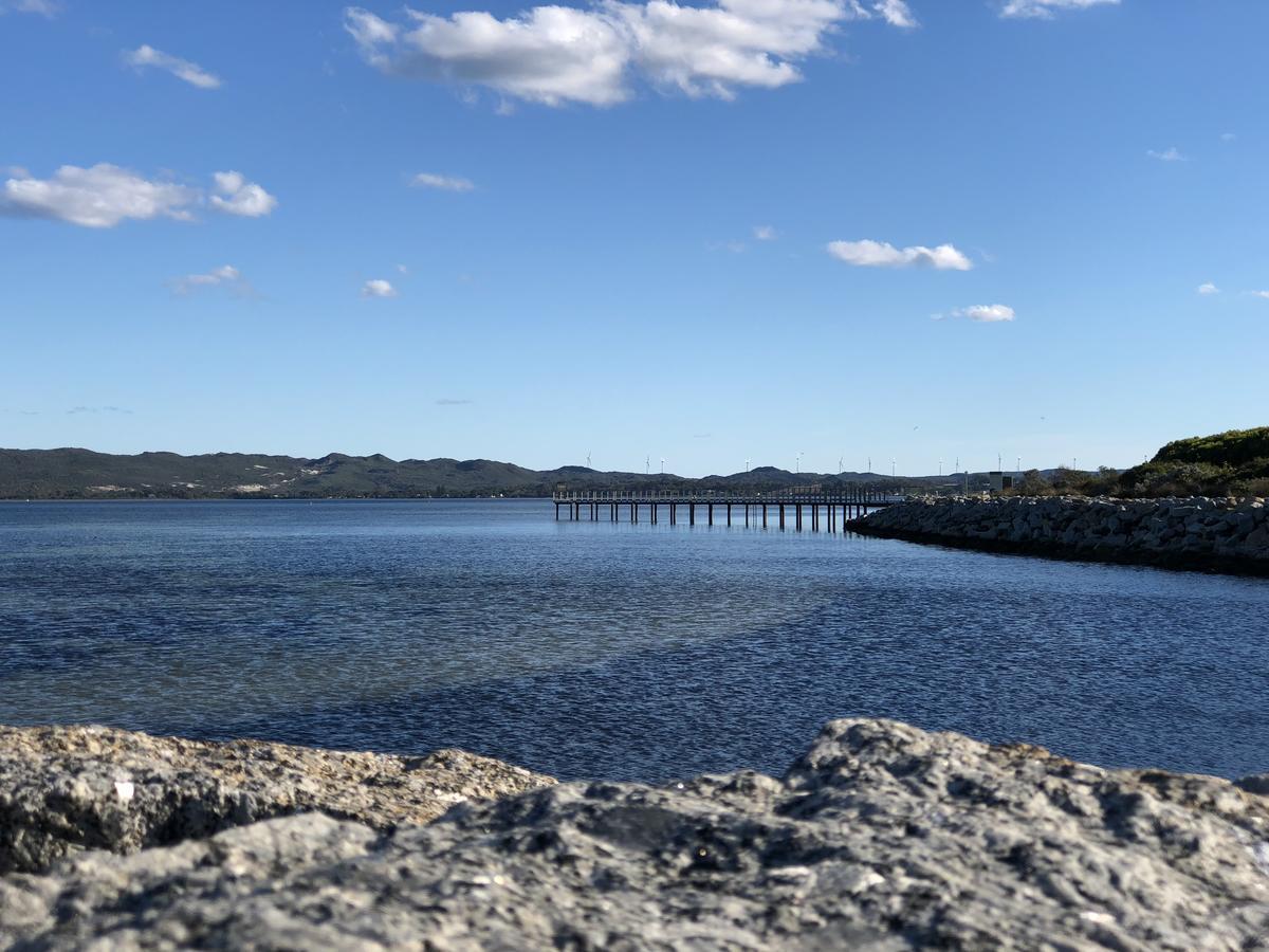 Albany Foreshore Guest House Exterior foto
